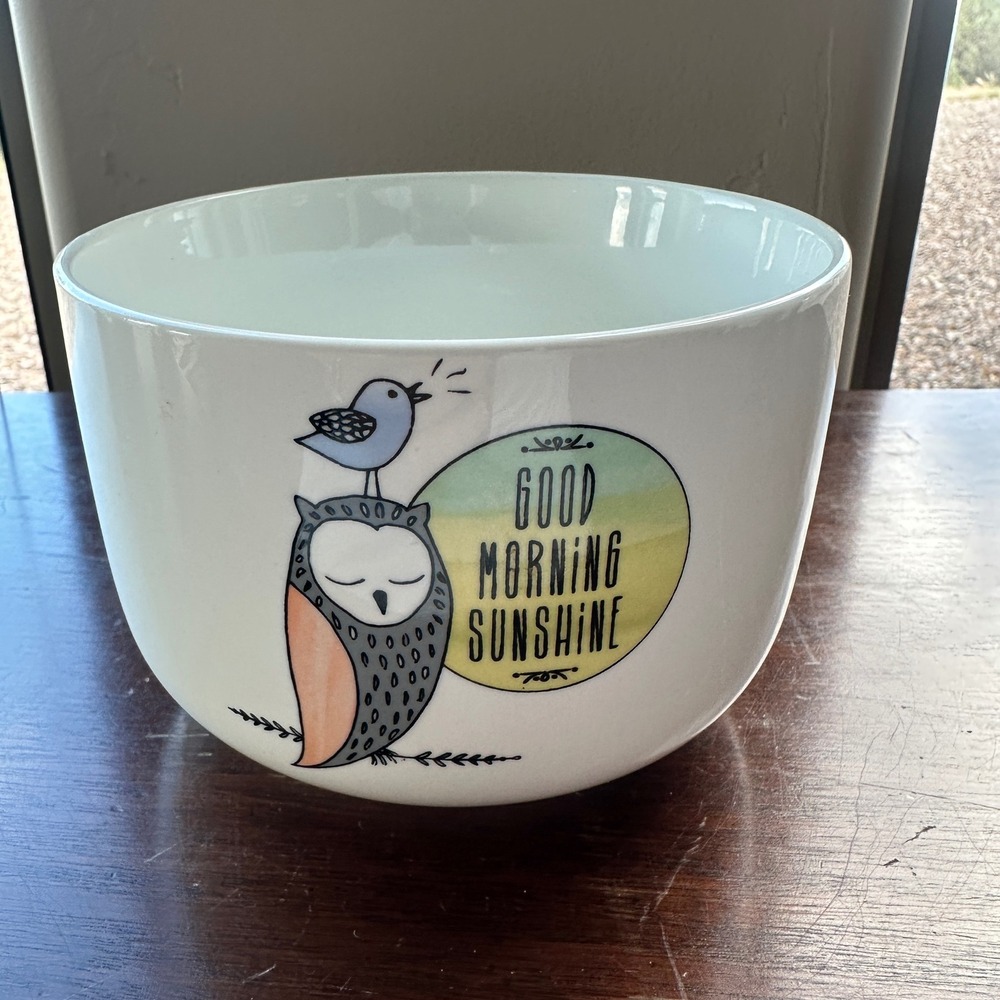 Ciroa Soup Mug Owl Bird Good Morning Sunshine White Porcelain‎ Large Bowl 5in - Picture 3 of 7